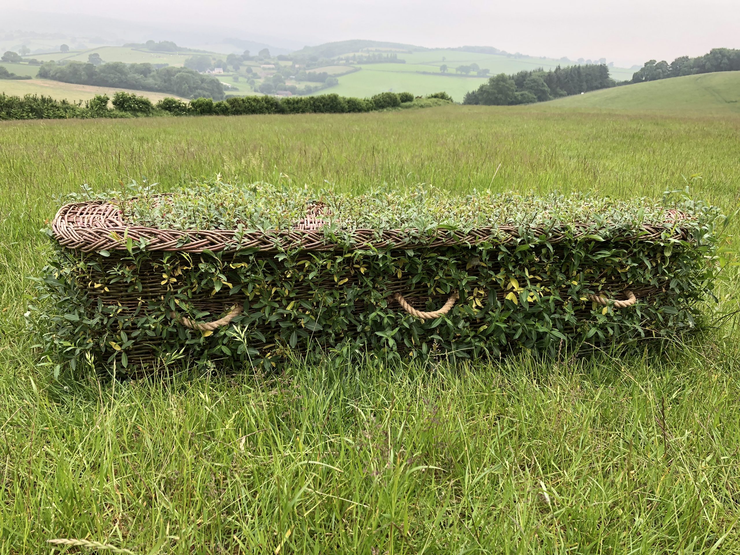 The Living Coffin in a Somerset field