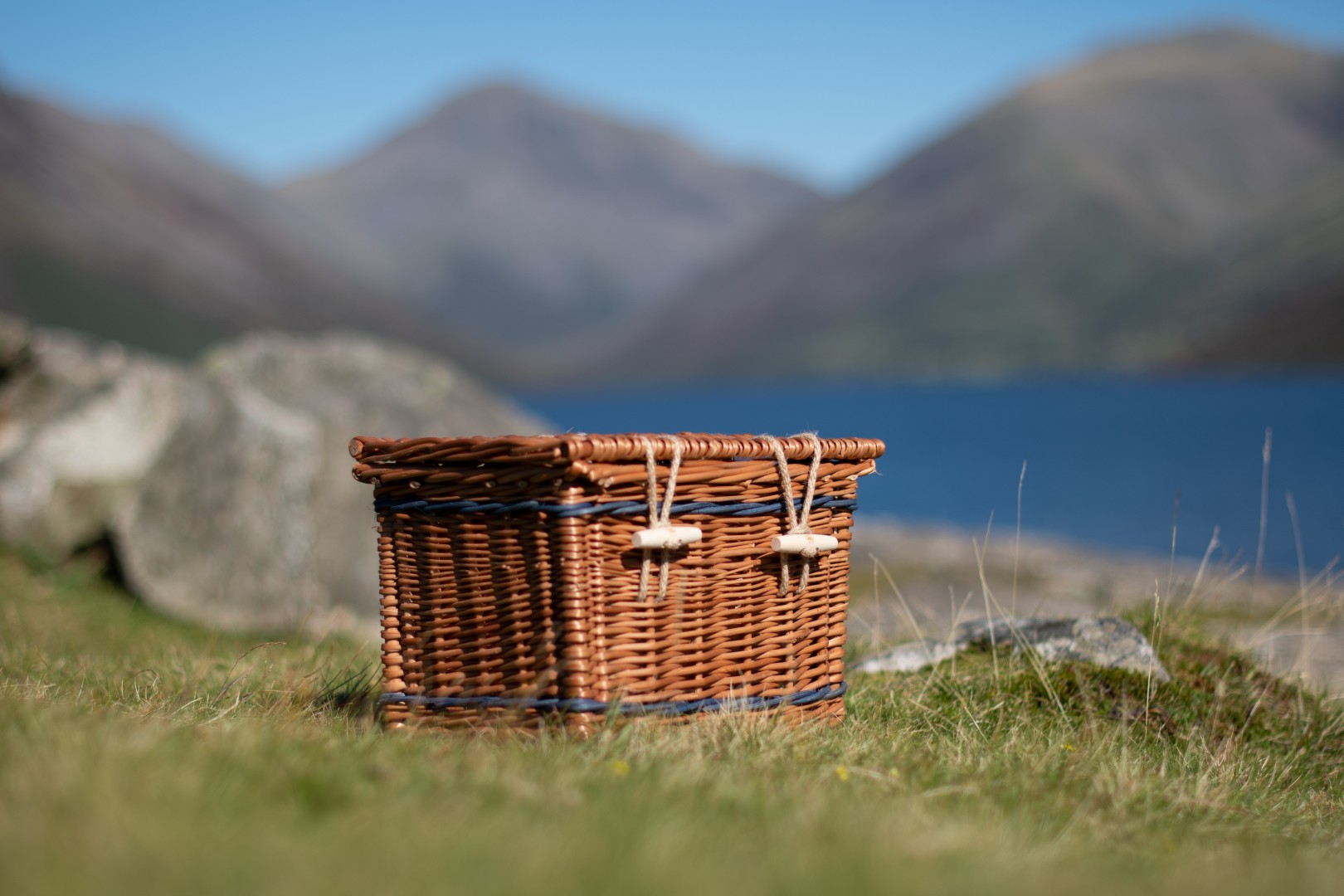 Willow Ashes Casket